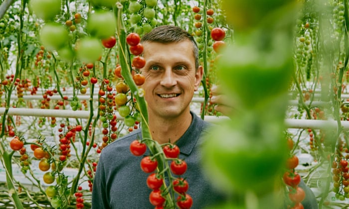 Una historia de la vid: cómo cultivar tomates con sabor mediterráneo | La canasta moderna de Tesco