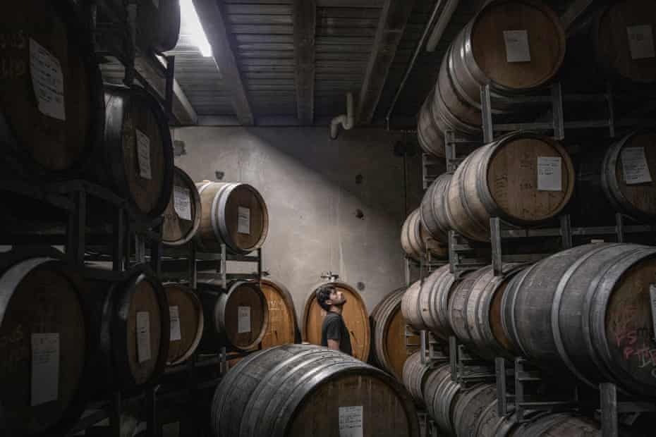 Bandesh observa los barriles en la bodega de almacenamiento de la bodega de Mac Forbes la noche antes de que comience la producción de su vino Shiraz. 
