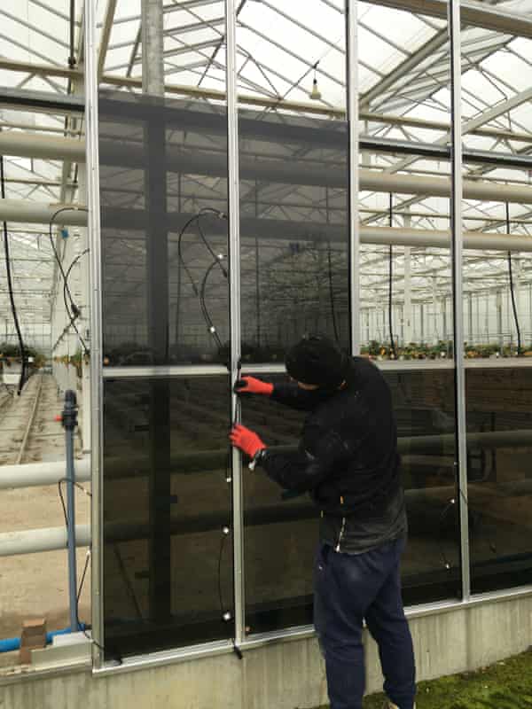 Instalación de paneles fotovoltaicos en los invernaderos.