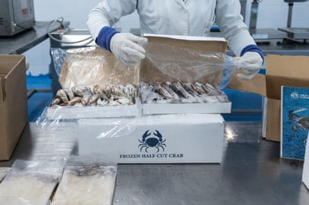 Una persona con ropa protectora para manipular alimentos empaca una caja de cangrejos