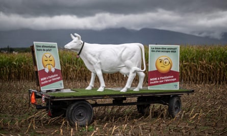 Esta fotografía tomada el 15 de septiembre de 2022 cerca de Collex-Bossy muestra una estatua de una vaca de plástico en un remolque en un campo entre dos carteles que dicen en francés “¿La comida es cara?  No a la iniciativa de crianza innecesaria” (L) y “¿Bienestar animal?  Ya estamos abordando esto, No a la Iniciativa de Agricultura Innecesaria” antes de una votación programada para el 25 de septiembre de 2022, sobre una propuesta de prohibición de la agricultura industrial.