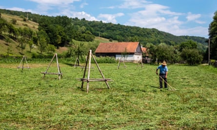 Elaboración de heno para alimentación animal en Zalánpatak, Transilvania, Rumania.